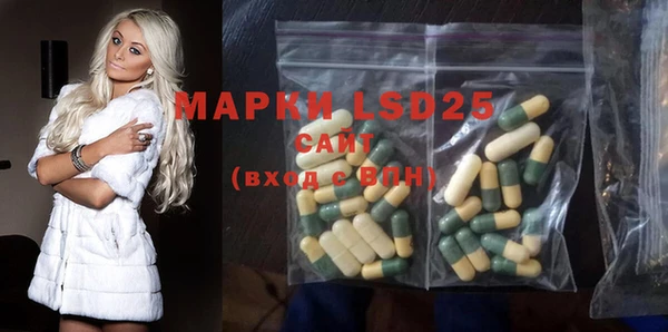 прущие грибы Армянск
