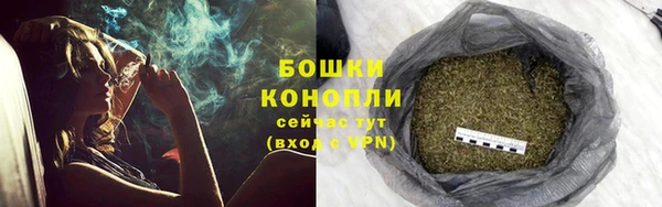 индика Приозерск