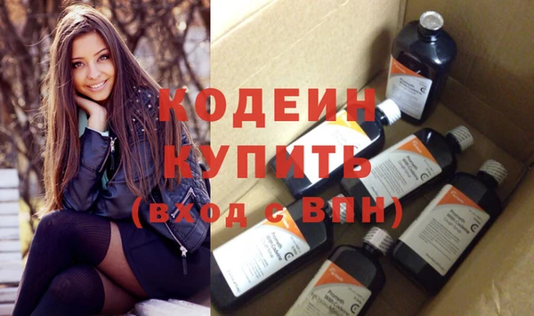 индика Приозерск