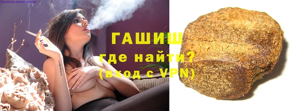 индика Приозерск