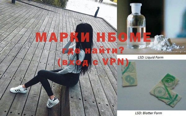 прущие грибы Армянск