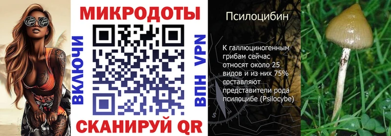 Галлюциногенные грибы мицелий Артёмовский